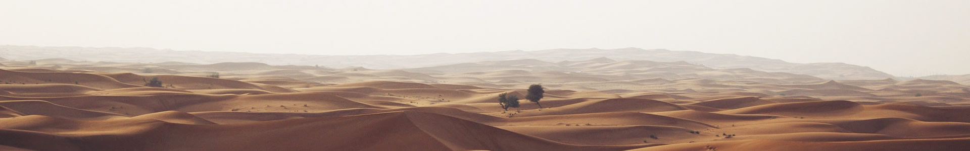 ɽǿֳ޹˾ 